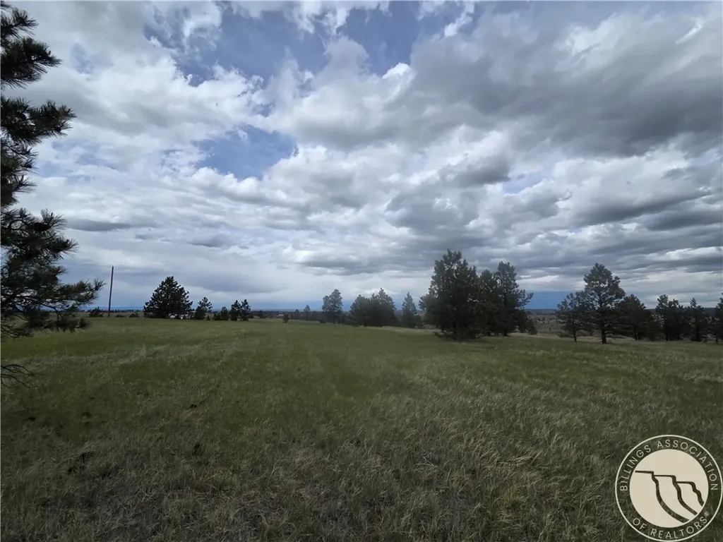 17 Grassland Way Roundup MT 59072