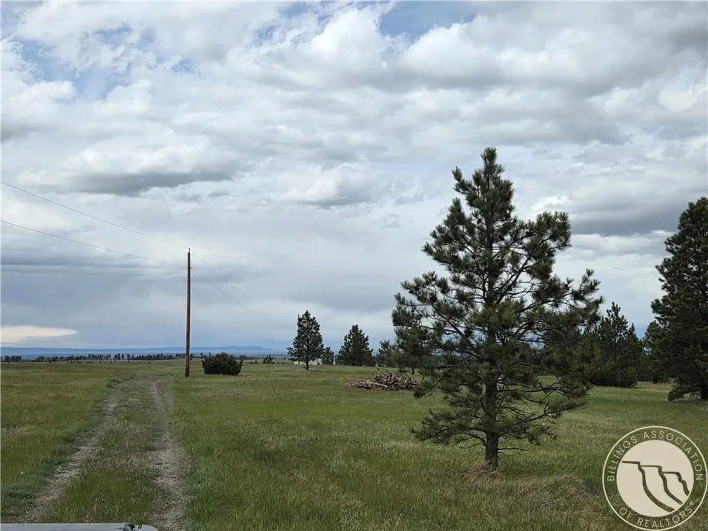 17 Grassland Way Roundup MT 59072