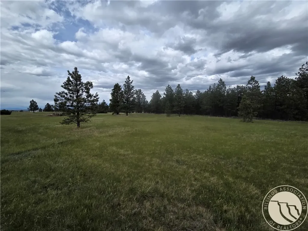 17 Grassland Way Roundup MT 59072