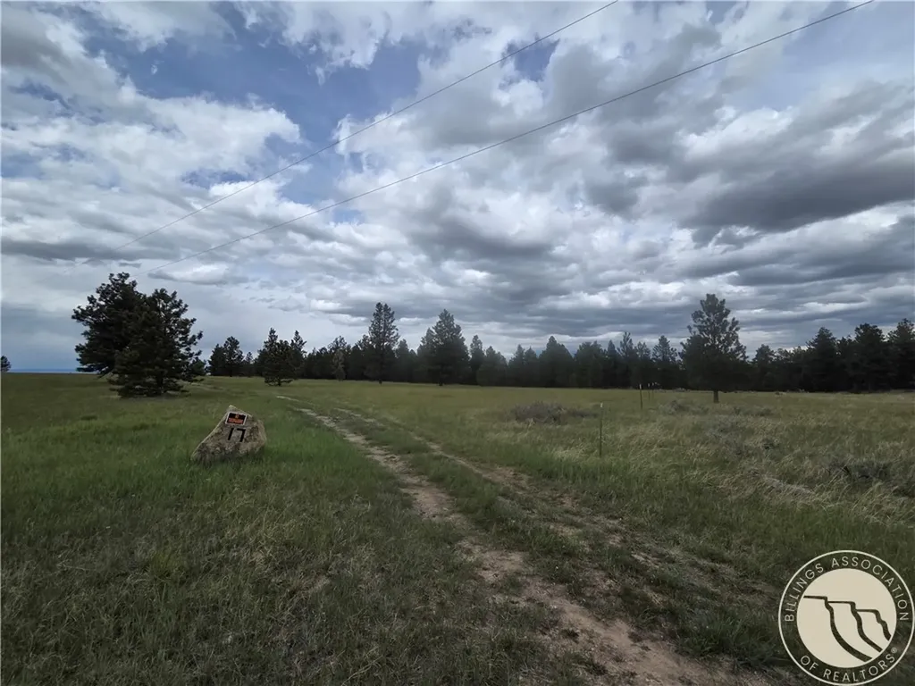 17 Grassland Way Roundup MT 59072
