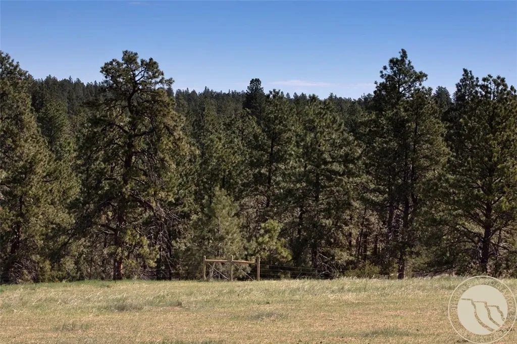 Lot 2 Shane Ridge Road Columbus MT 59019