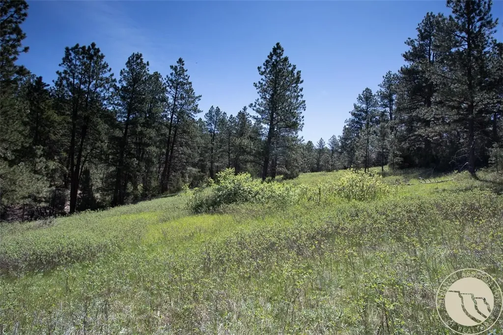 Lot 2 Shane Ridge Road Columbus MT 59019