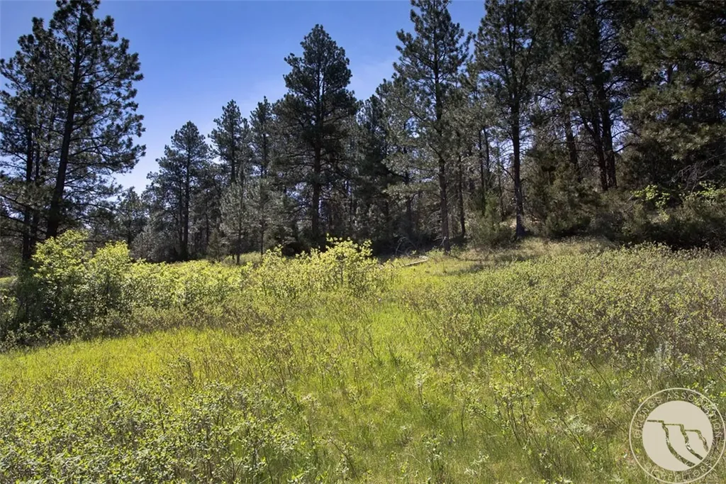 Lot 2 Shane Ridge Road Columbus MT 59019