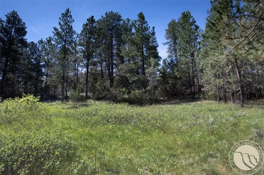 Lot 2 Shane Ridge Road Columbus MT 59019
