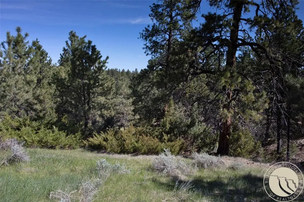 Lot 2 Shane Ridge Road Columbus MT 59019