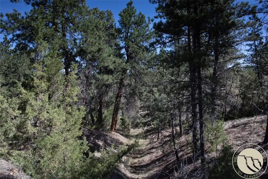 Lot 2 Shane Ridge Road Columbus MT 59019
