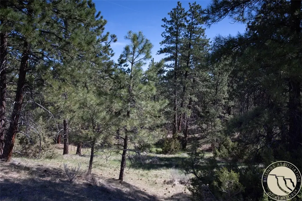 Lot 2 Shane Ridge Road Columbus MT 59019