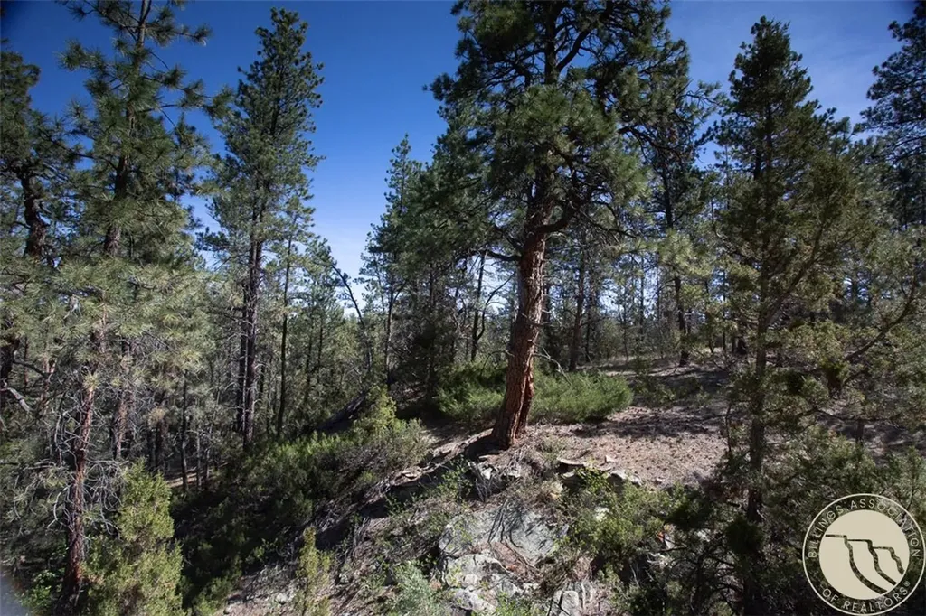 Lot 2 Shane Ridge Road Columbus MT 59019