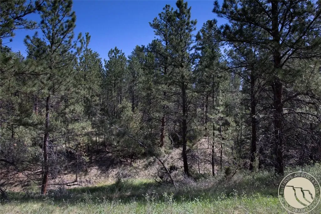 Lot 2 Shane Ridge Road Columbus MT 59019