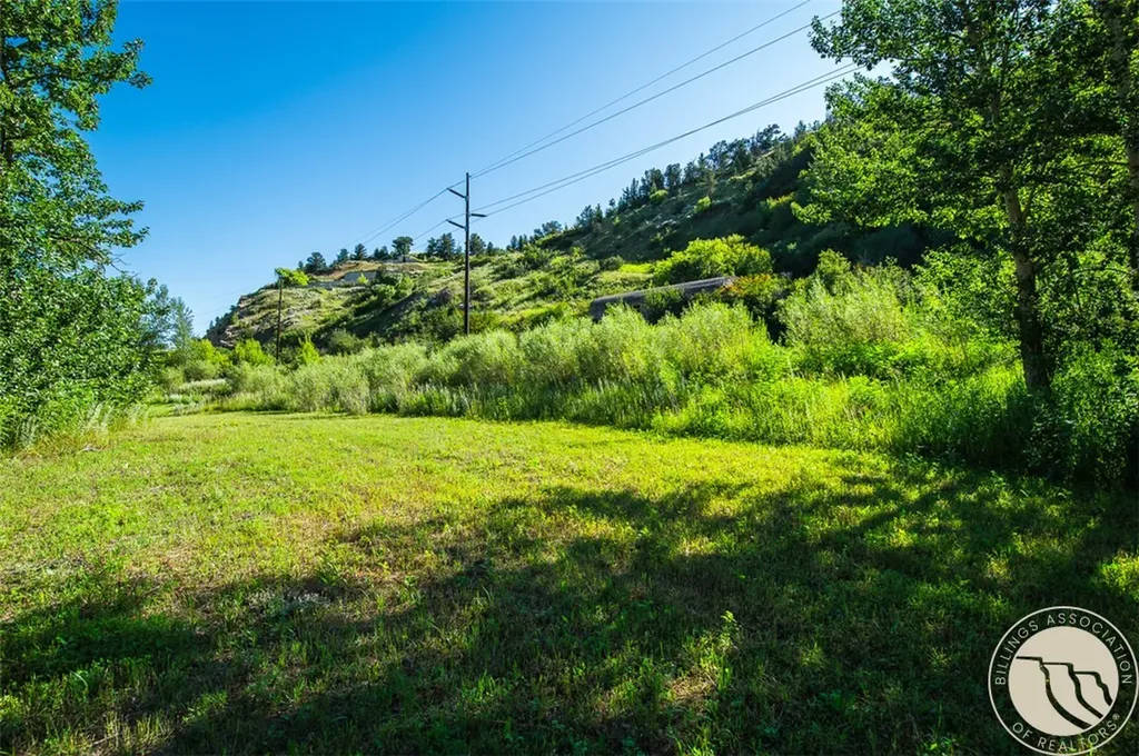 216 Kainu Avenue Red Lodge MT 59068
