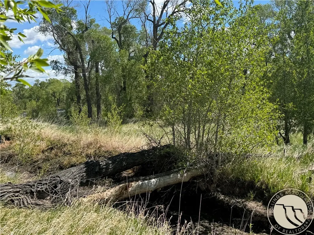 3 Fishing Hole Drive Big Timber MT 59011