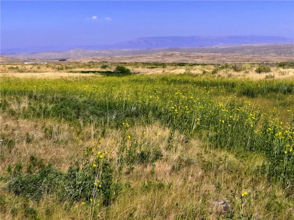 Nhn Stagecoach Spur W Belfry MT 59008