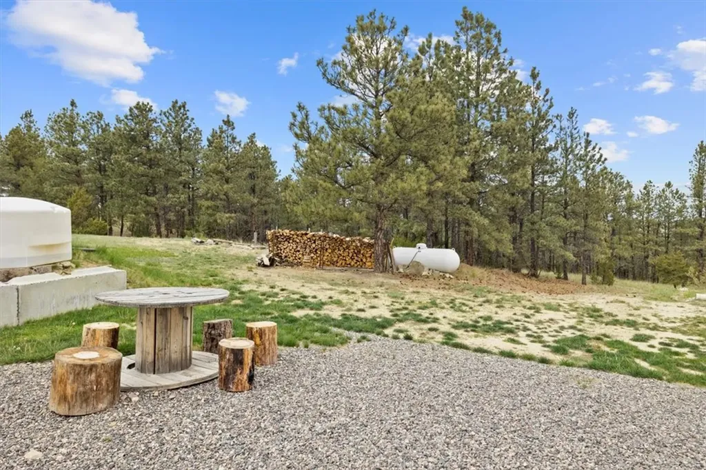 213 Winchester Drive Roundup MT 59072
