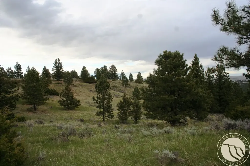 Lot 71 North Harrier Road Reed Point MT 59069