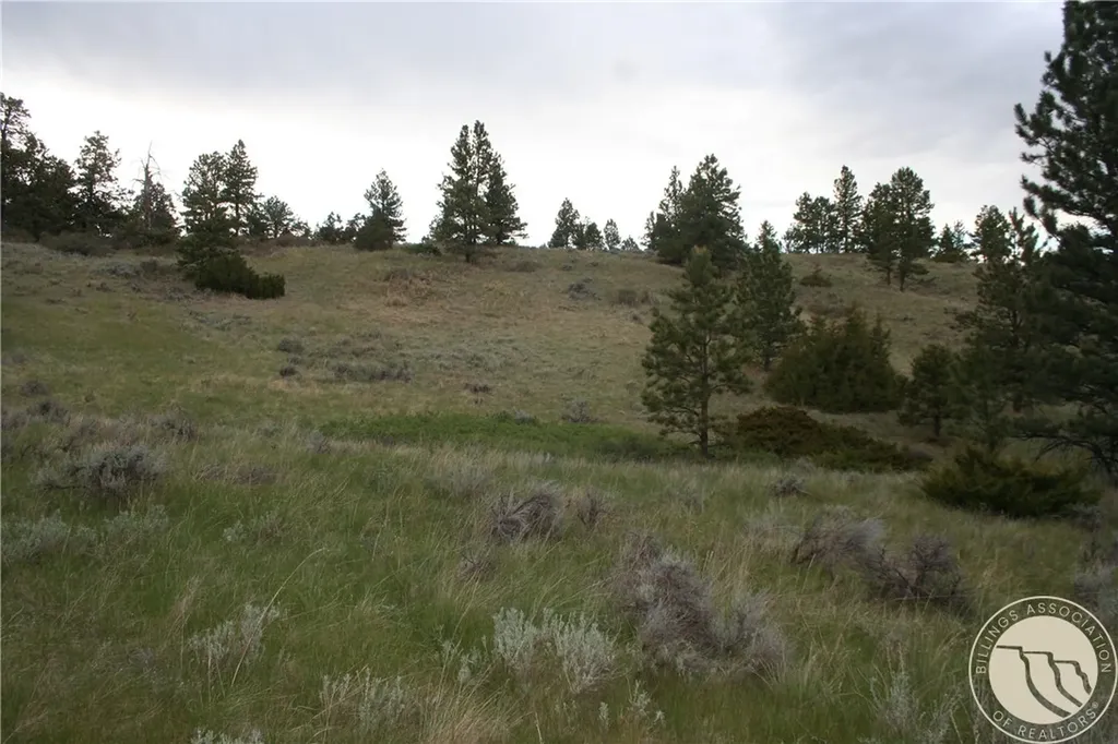 Lot 71 North Harrier Road Reed Point MT 59069