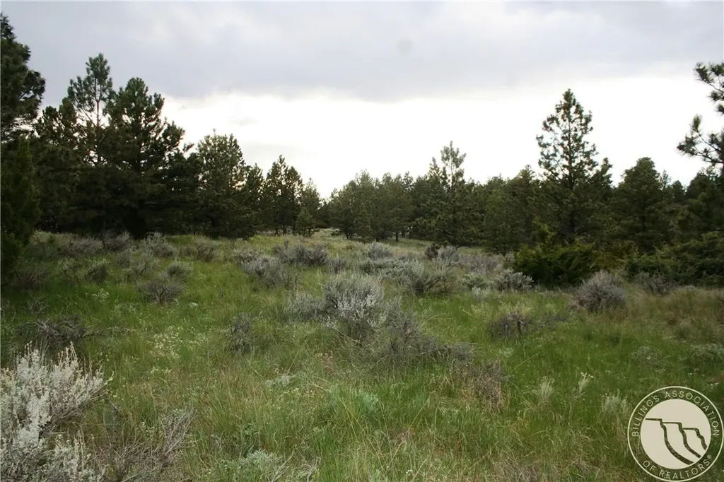 Lot 71 North Harrier Road Reed Point MT 59069