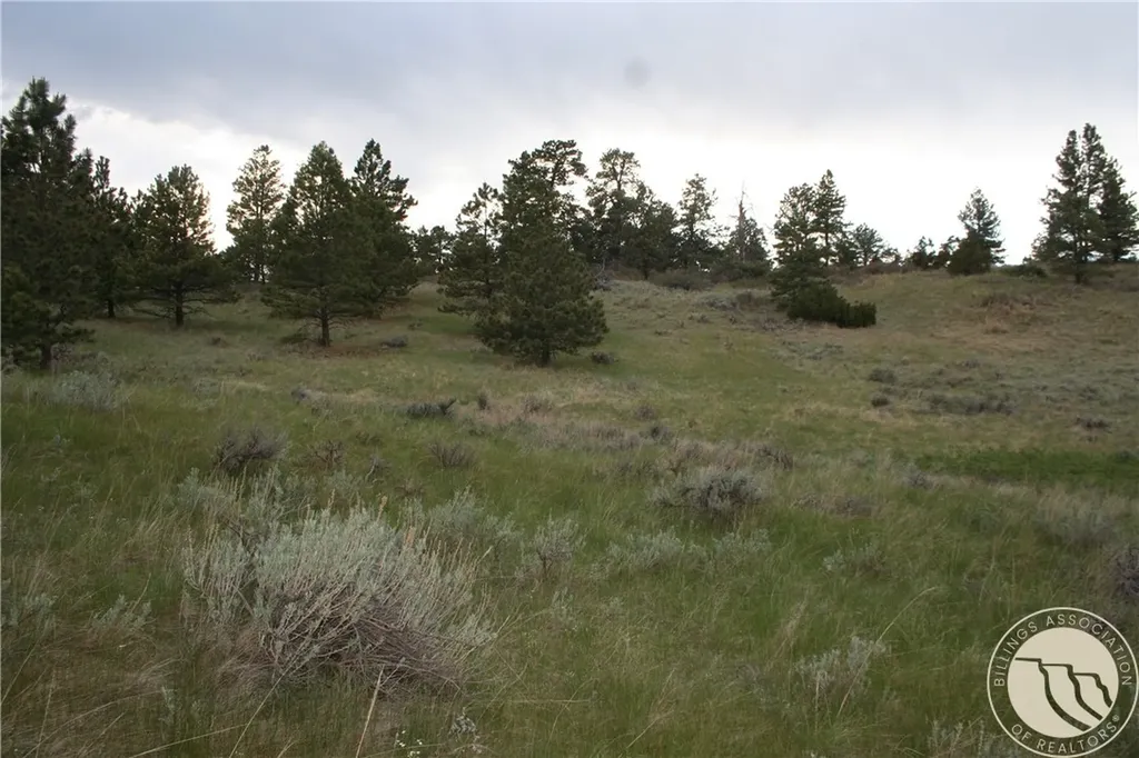 Lot 71 North Harrier Road Reed Point MT 59069