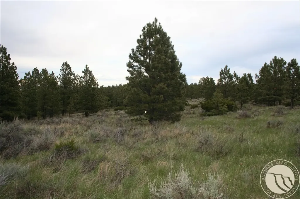 Lot 71 North Harrier Road Reed Point MT 59069