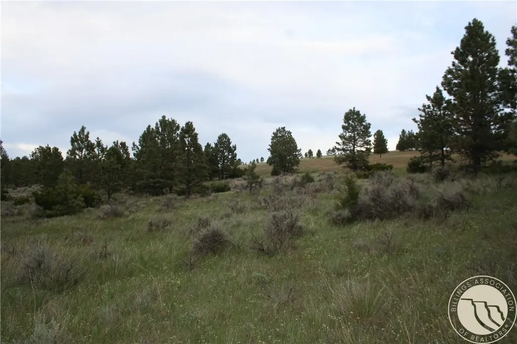 Lot 71 North Harrier Road Reed Point MT 59069