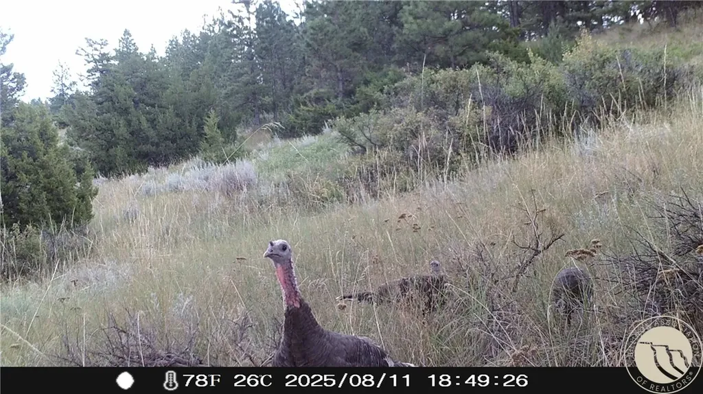 Lot 71 North Harrier Road Reed Point MT 59069