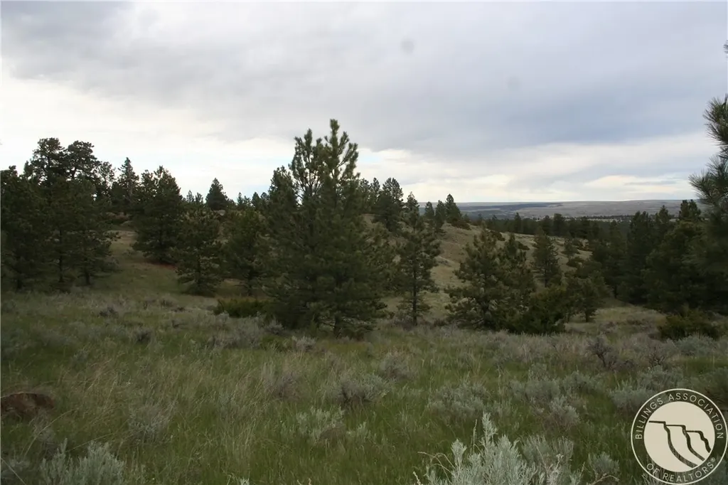 Lot 71 North Harrier Road Reed Point MT 59069