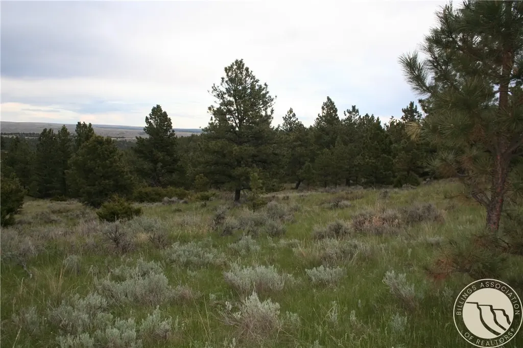 Lot 71 North Harrier Road Reed Point MT 59069