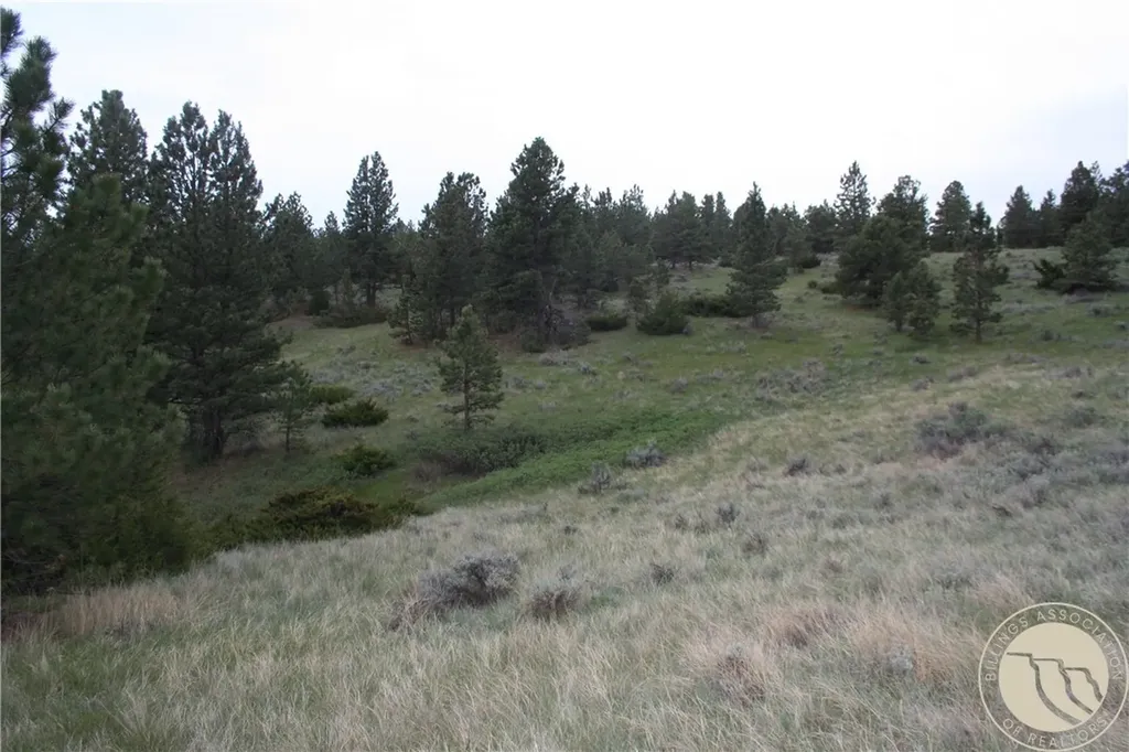Lot 71 North Harrier Road Reed Point MT 59069