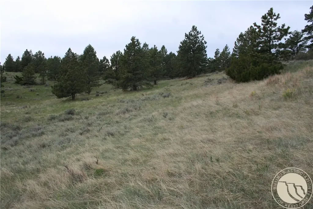 Lot 71 North Harrier Road Reed Point MT 59069