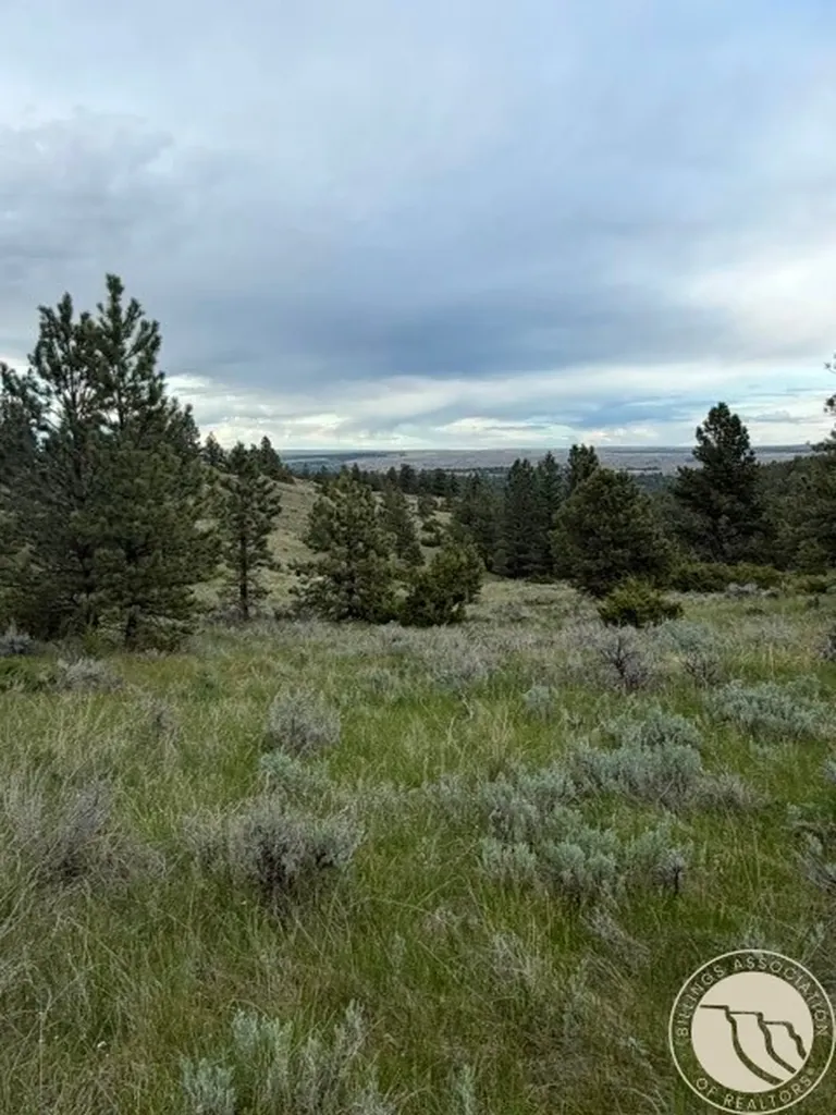 Lot 71 North Harrier Road Reed Point MT 59069