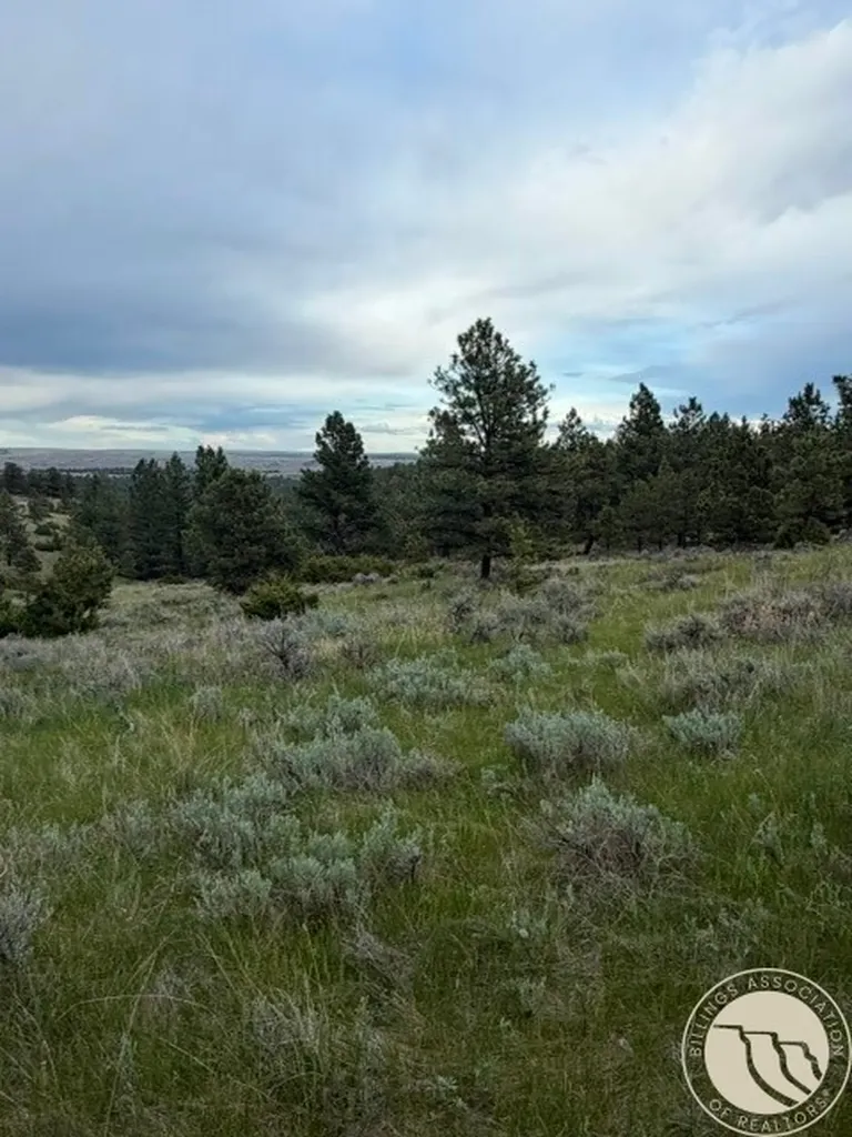 Lot 71 North Harrier Road Reed Point MT 59069