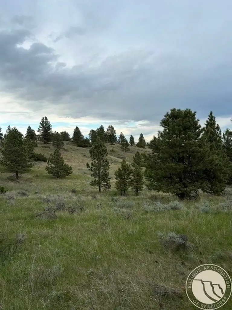 Lot 71 North Harrier Road Reed Point MT 59069