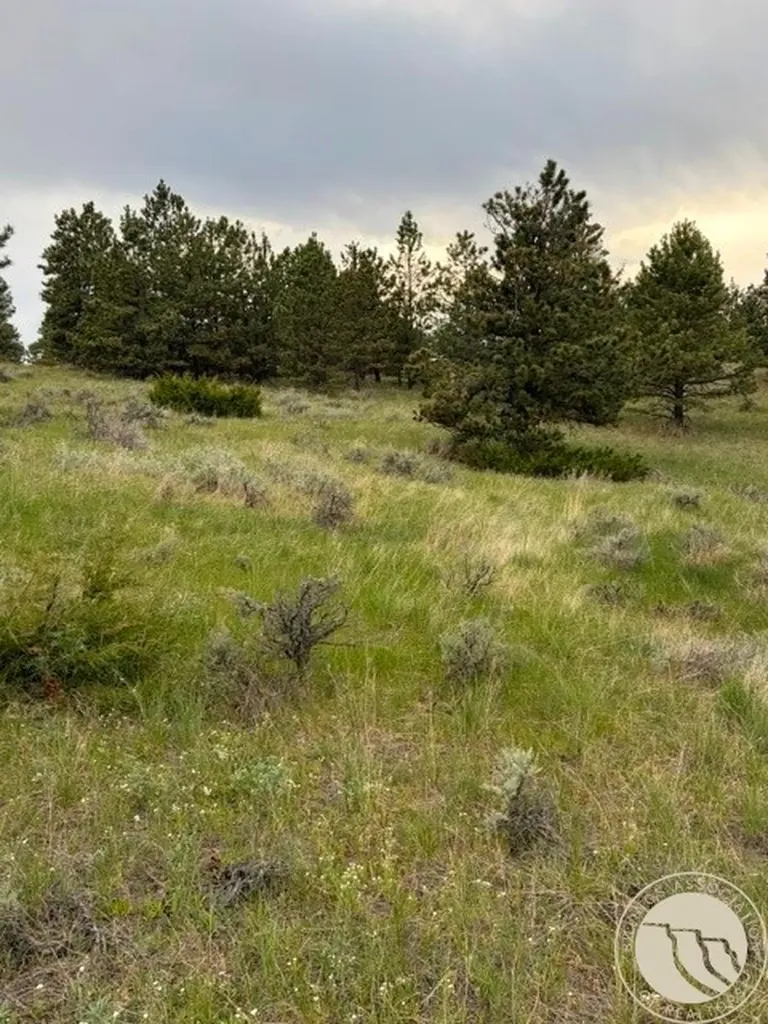 Lot 71 North Harrier Road Reed Point MT 59069