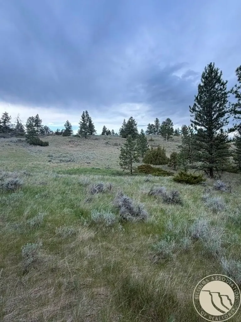 Lot 71 North Harrier Road Reed Point MT 59069