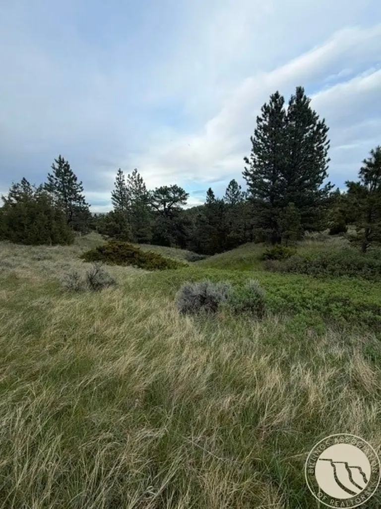 Lot 71 North Harrier Road Reed Point MT 59069