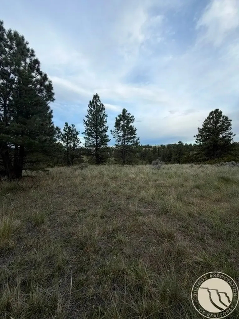 Lot 71 North Harrier Road Reed Point MT 59069