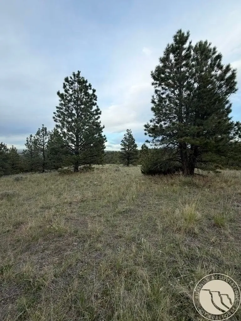 Lot 71 North Harrier Road Reed Point MT 59069
