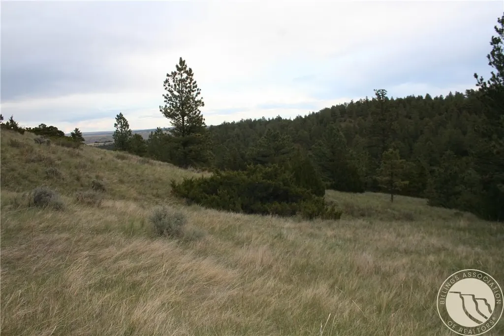 Lot 71 North Harrier Road Reed Point MT 59069
