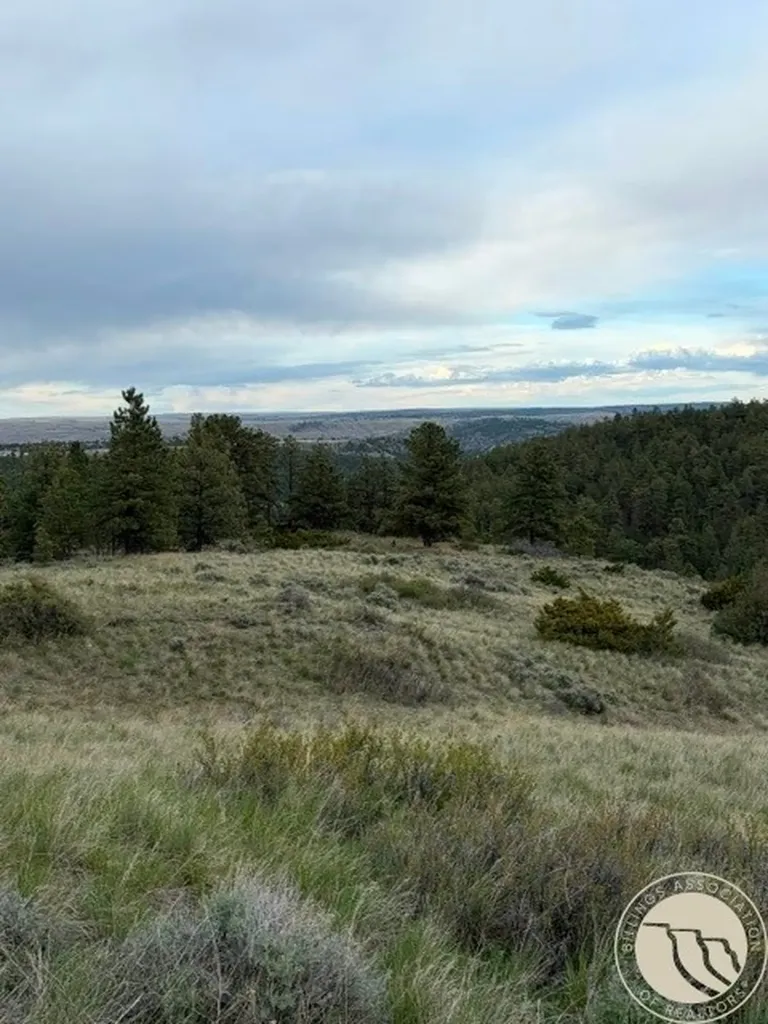 Lot 71 North Harrier Road Reed Point MT 59069