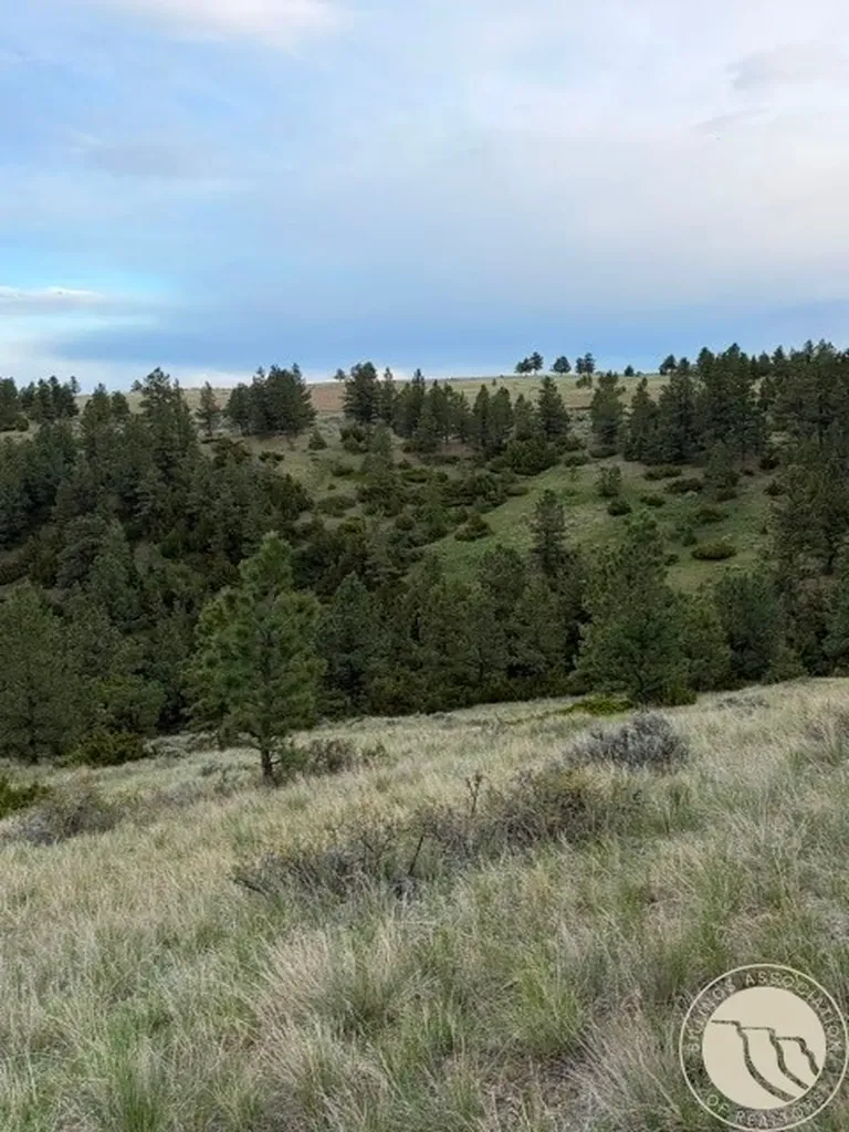 Lot 71 North Harrier Road Reed Point MT 59069