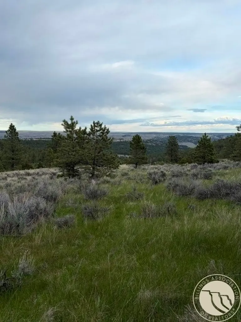 Lot 71 North Harrier Road Reed Point MT 59069