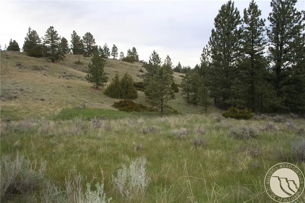 Lot 71 North Harrier Road Reed Point MT 59069