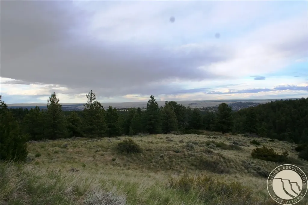 Lot 71 North Harrier Road Reed Point MT 59069