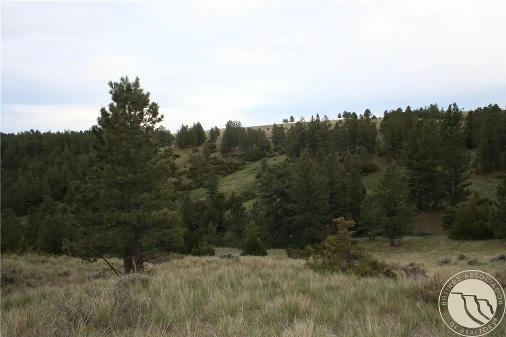 Lot 71 North Harrier Road Reed Point MT 59069