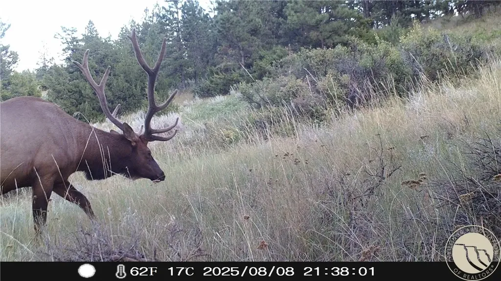 Lot 71 North Harrier Road Reed Point MT 59069
