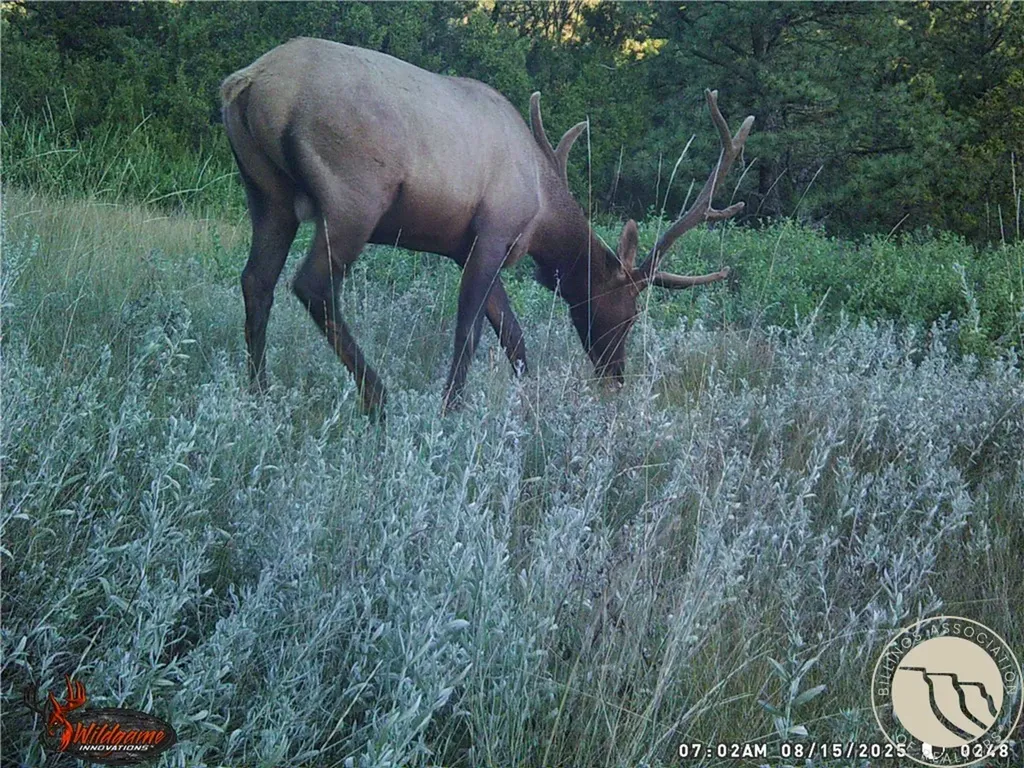 Lot 71 North Harrier Road Reed Point MT 59069