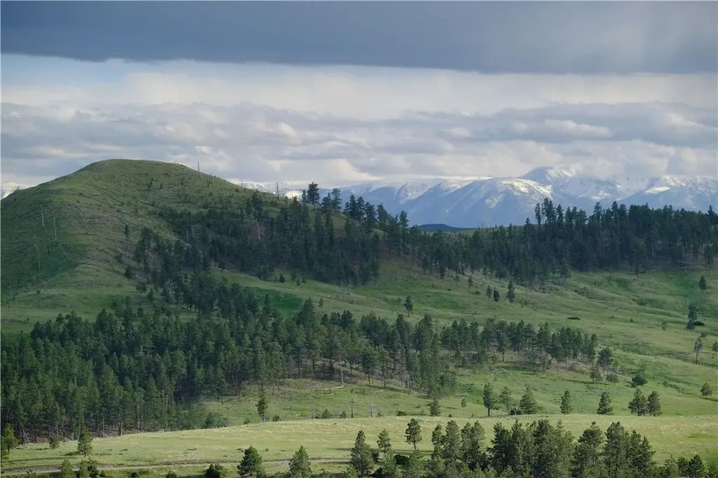 143 Owl Canyon Road Reed Point MT 59069