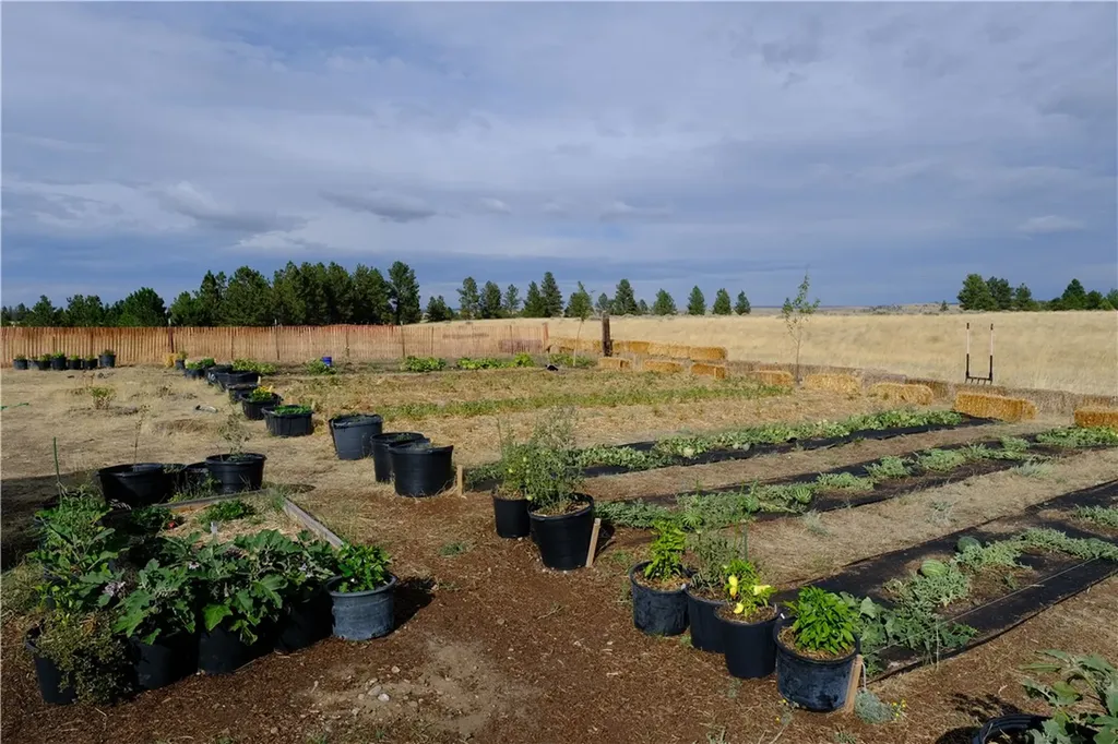 143 Owl Canyon Road Reed Point MT 59069
