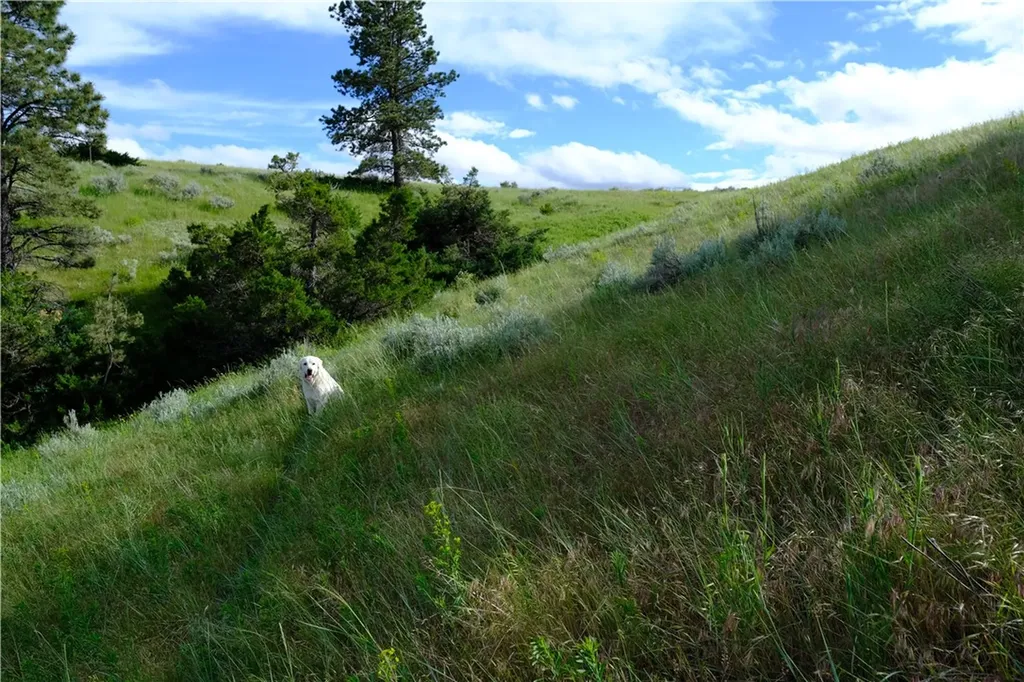 143 Owl Canyon Road Reed Point MT 59069