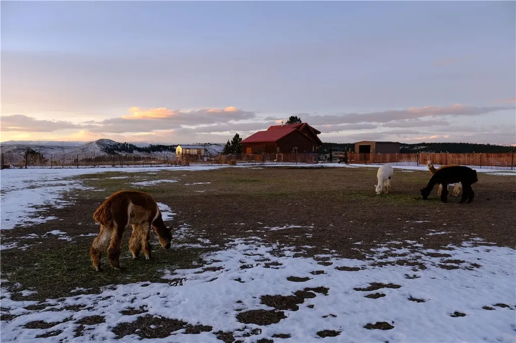143 Owl Canyon Road Reed Point MT 59069