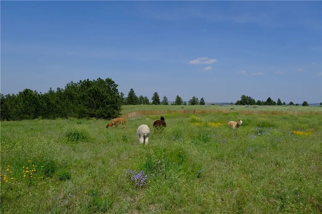 143 Owl Canyon Road Reed Point MT 59069